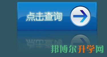 有关成都中考成绩查询相关内容