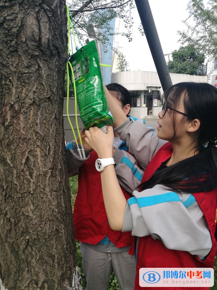 西南交通大学附属中学开展大手牵小手，共建绿色校园