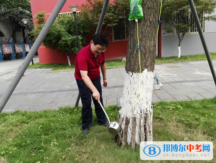 西南交通大学附属中学开展大手牵小手，共建绿色校园