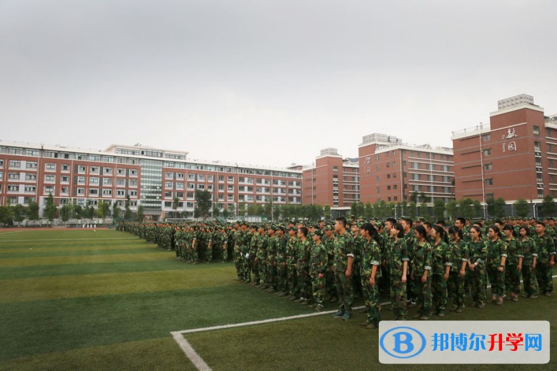 绵阳市东辰国际学校2017年招生计划