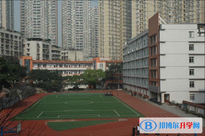 重庆市沙坪坝实验中学校学费