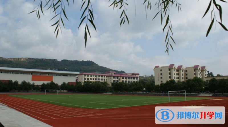 重庆市万州区纯阳实验学校地址在哪里