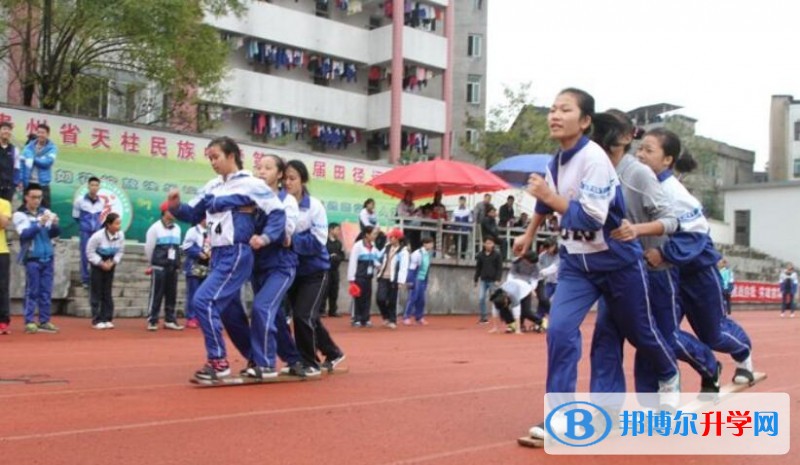 天柱第二中学招生代码