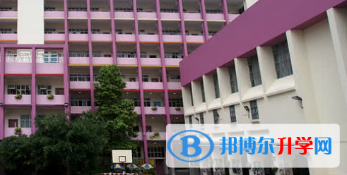 香港九龙小学2023年招生简章