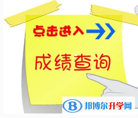 2020年眉山查询中考成绩的网址