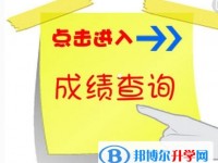 2020年眉山查询中考成绩的网址