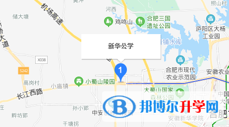 合肥新华公学地址在哪里