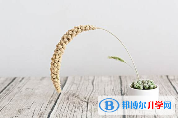 铜仁2020年生物中考会考试卷