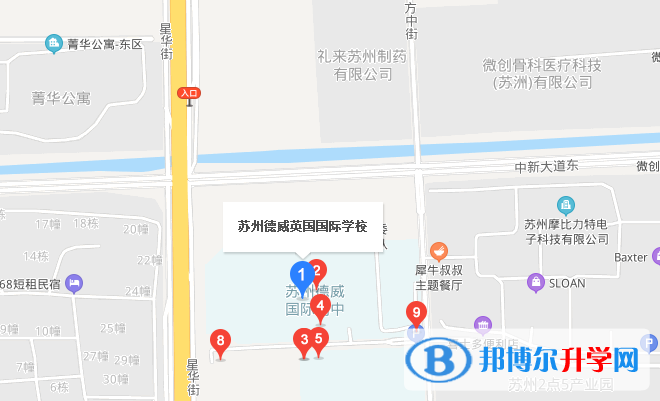 苏州德威国际学校初中部地址在哪里