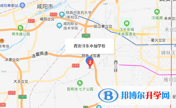 西安沣东中加学校初中部地址在哪里