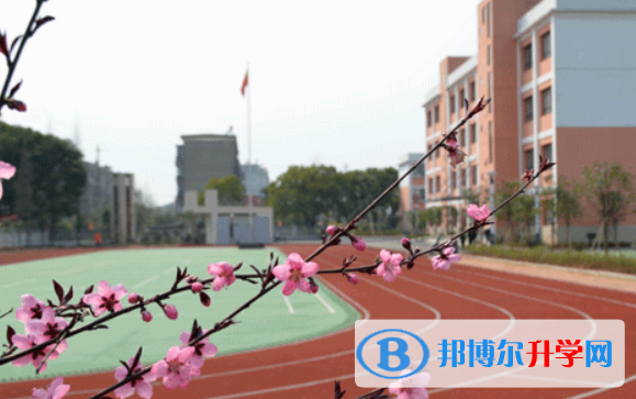 西安高新国际学校网站网址 