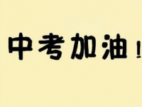 2021年西安查询中考成绩的热线电话