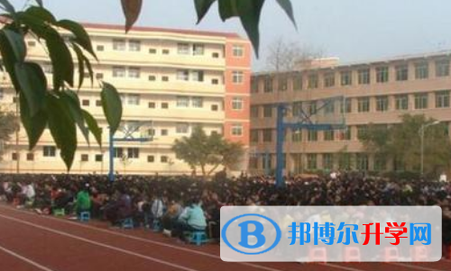 重庆市忠县乌杨中学网站网址