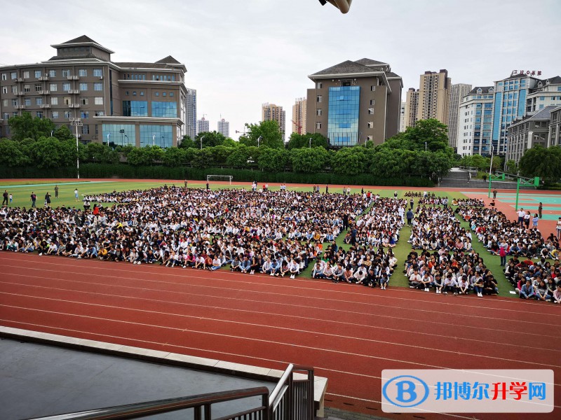 重庆酉阳第二中学校网站网址