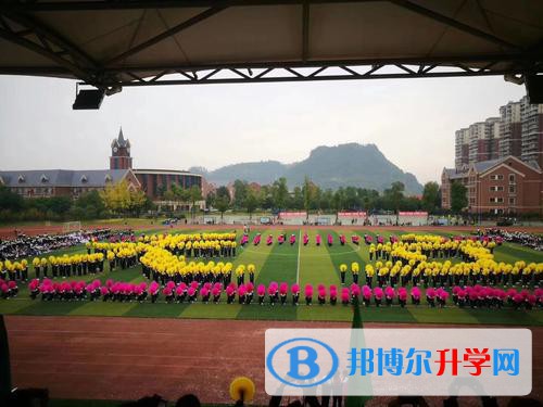 宜宾天立国际学校网站网址