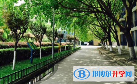 成都七中实验学校2022年网站网址