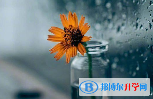 绵阳2021年如何查询中考录取结果