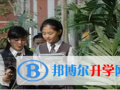 深圳中英公学2023年入学条件