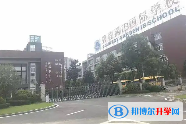 广东碧桂园IB国际学校怎么样