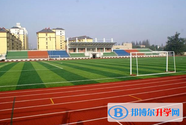 2022辰溪博雅实验学校录取分数线(2023参考)