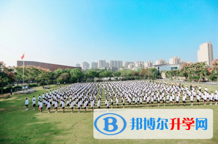 2023年宁波至诚学校招生政策