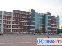 2025肇东市第四中学校招生计划 招生人数是多少(附要求、条件、对象)