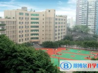 2025重庆市育才成功学校招生计划 招生人数是多少(附要求、条件、对象)