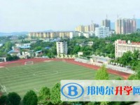 重庆市北碚王朴中学校招生简章2025年