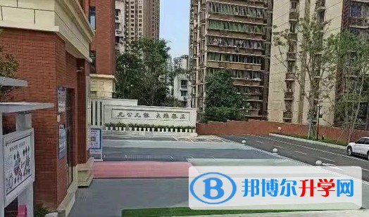 重庆市第十一中学校招生简章2024年