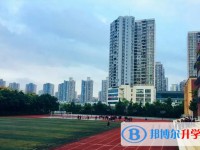 2025重庆市松树桥中学校招生计划 招生人数是多少(附要求、条件、对象)