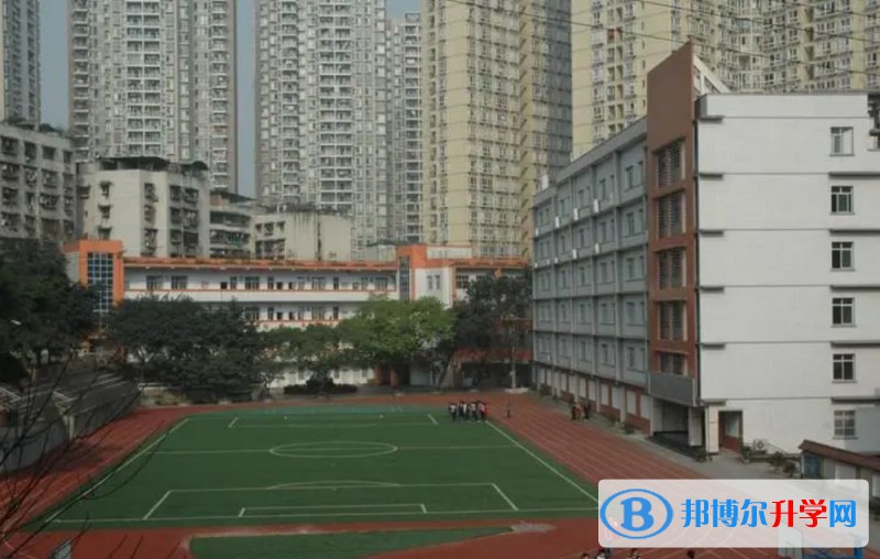 2024沙坪坝区实验中学多少钱(学费明细)